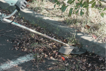 Grounds Maintenance